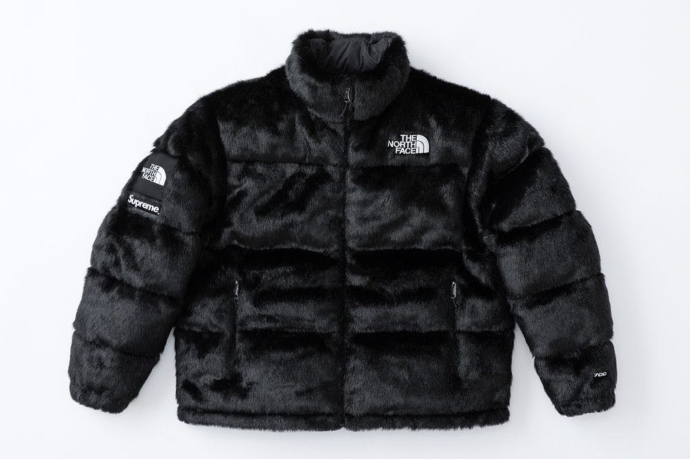 supreme north face bubble coat